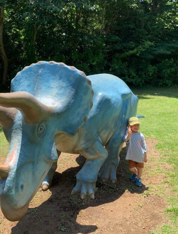 rintaku__さんの写真 / 3