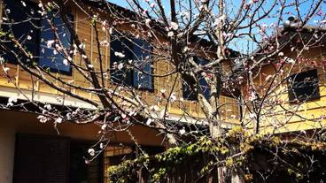 メイン イメージ / 1