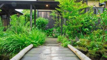 施設の敷地 / 11