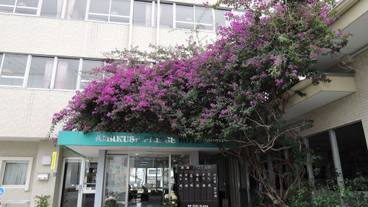 施設の入り口 / 3