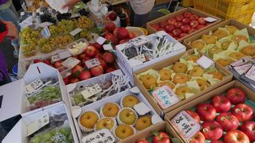 観光スポット / 14