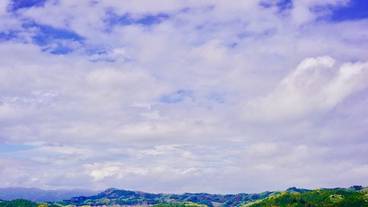 部屋からの景観 / 8