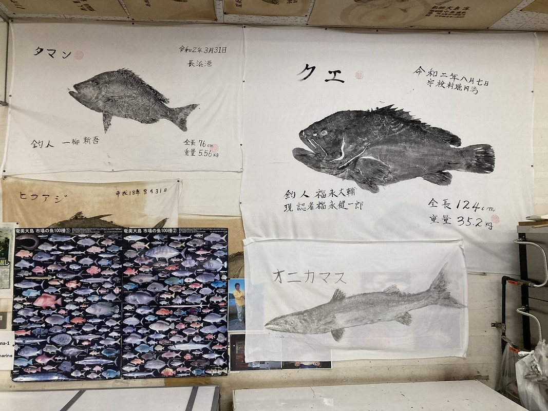 売店にあった魚拓