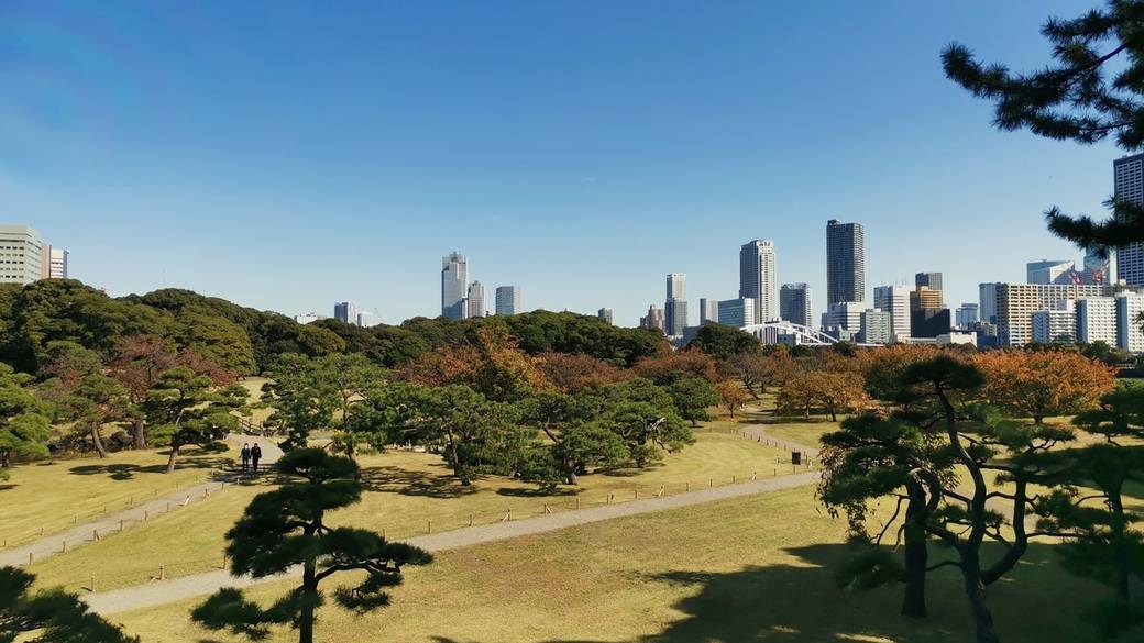 浜離宮恩賜庭園 / 2