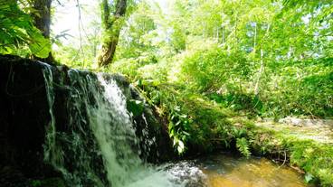 マウンテン ビュー / 24