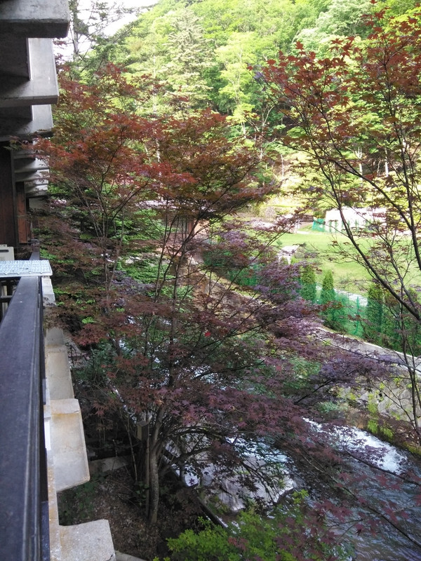 部屋からの眺望