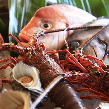 3室限定の離れも人気。”千年の美湯”に芯まで癒されて3964753