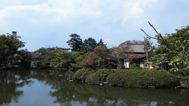 観光スポット / 6