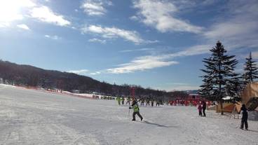 スノー スポーツとスキー / 14