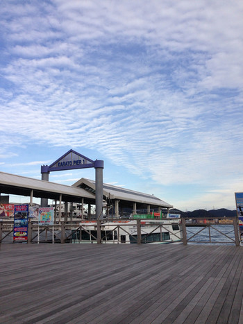 「ふくの河久」その他 47959 