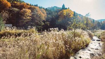 施設の敷地 / 38