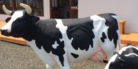 北海道乳を使った本格ジェラート！札幌のジェラテリアのお店7選