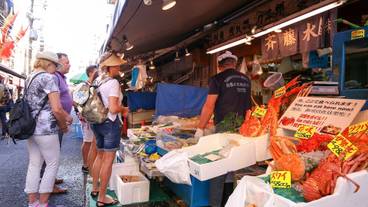 観光スポット / 8