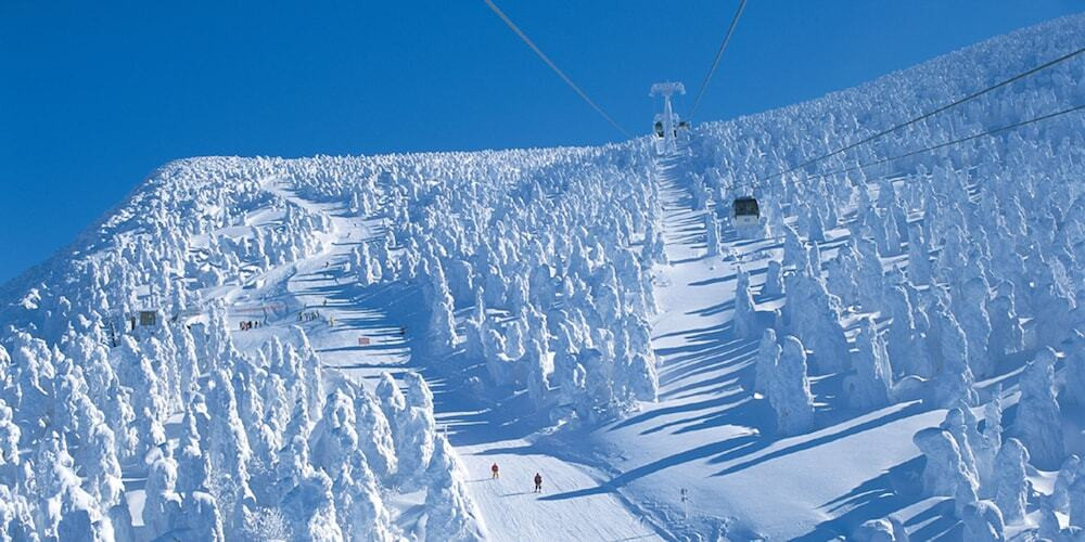 スノー スポーツとスキー