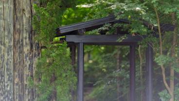 施設の敷地 / 10