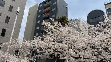 メイン イメージ / 1
