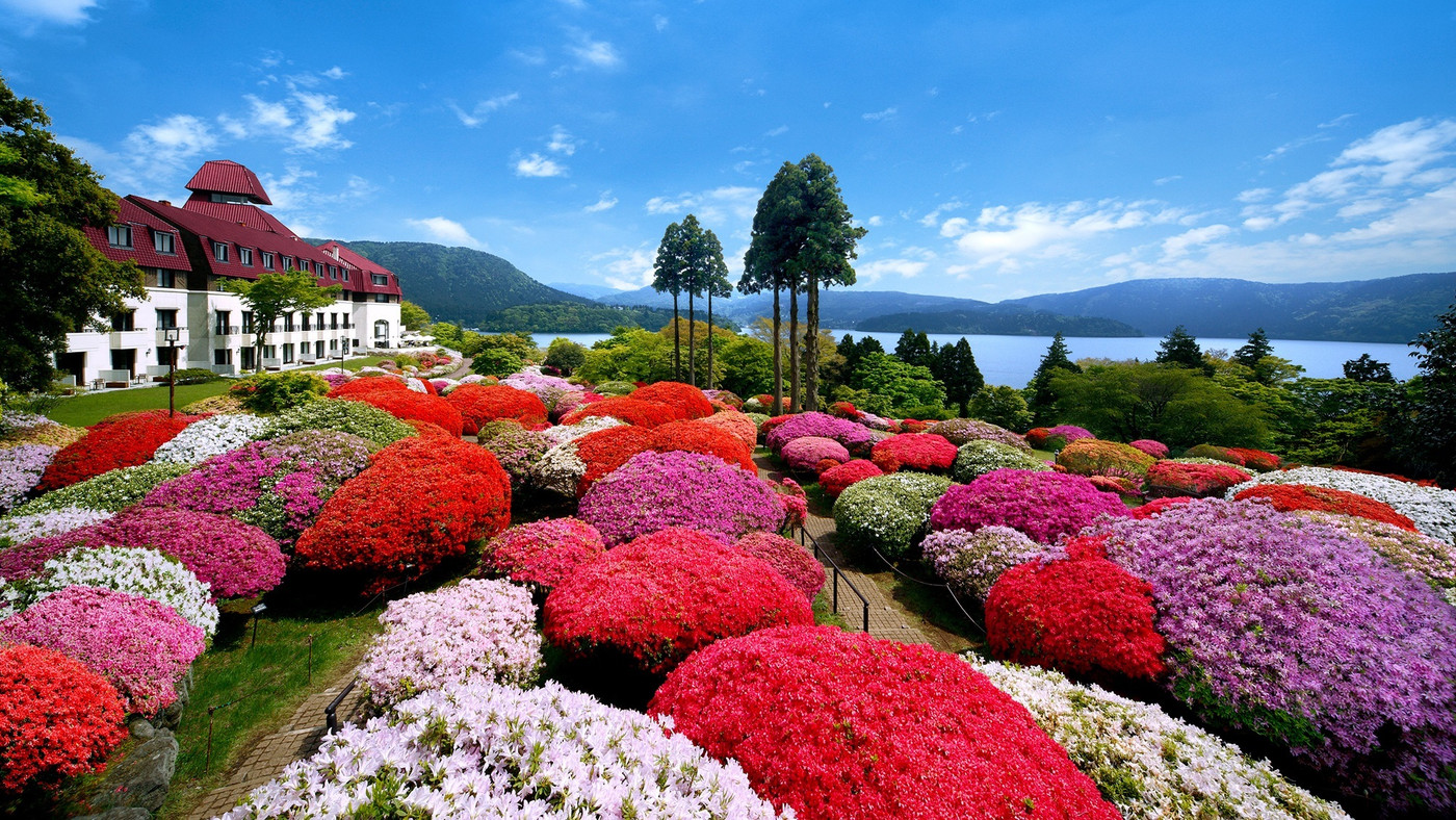 庭園越しに芦ノ湖を一望。クラシカルな雰囲気に癒されて3956068