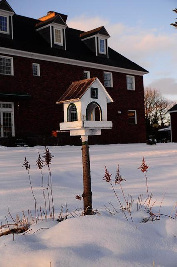 冬はロマンチックな雰囲気に包まれます3695800