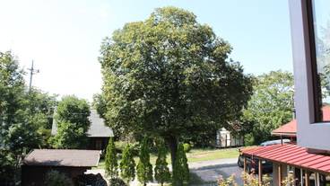 施設からの眺望 / 12