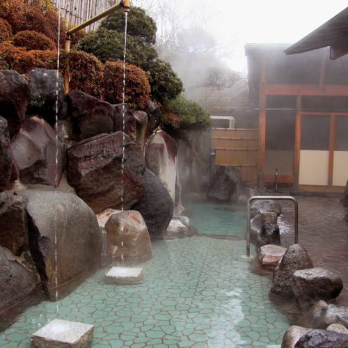 温浴施設や姉妹館で
贅沢湯巡り三昧 / 3