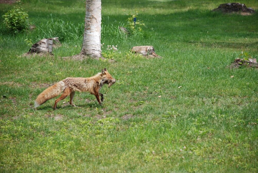 施設からの眺望