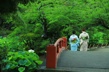 Tsurugaoka Hachiman Shrine