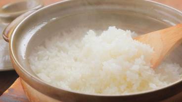 食事・飲み物 / 23