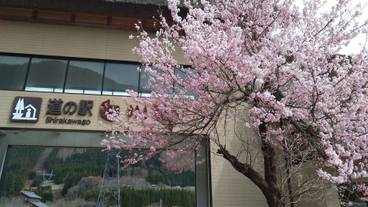 観光スポット / 22