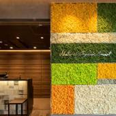 スーパーホテルPremier帯広駅前 天然温泉 拓聖の湯（北海道 ビジネスホテル） / 3