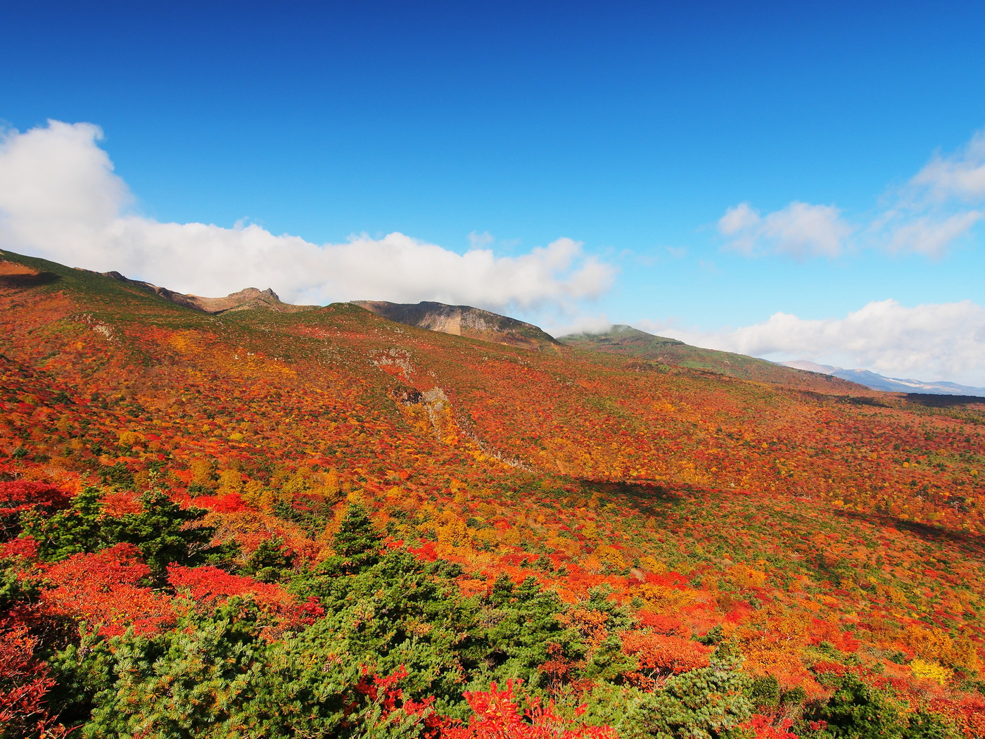2.岳温泉（二本松市）3538634