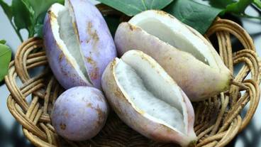 食事・飲み物 / 2