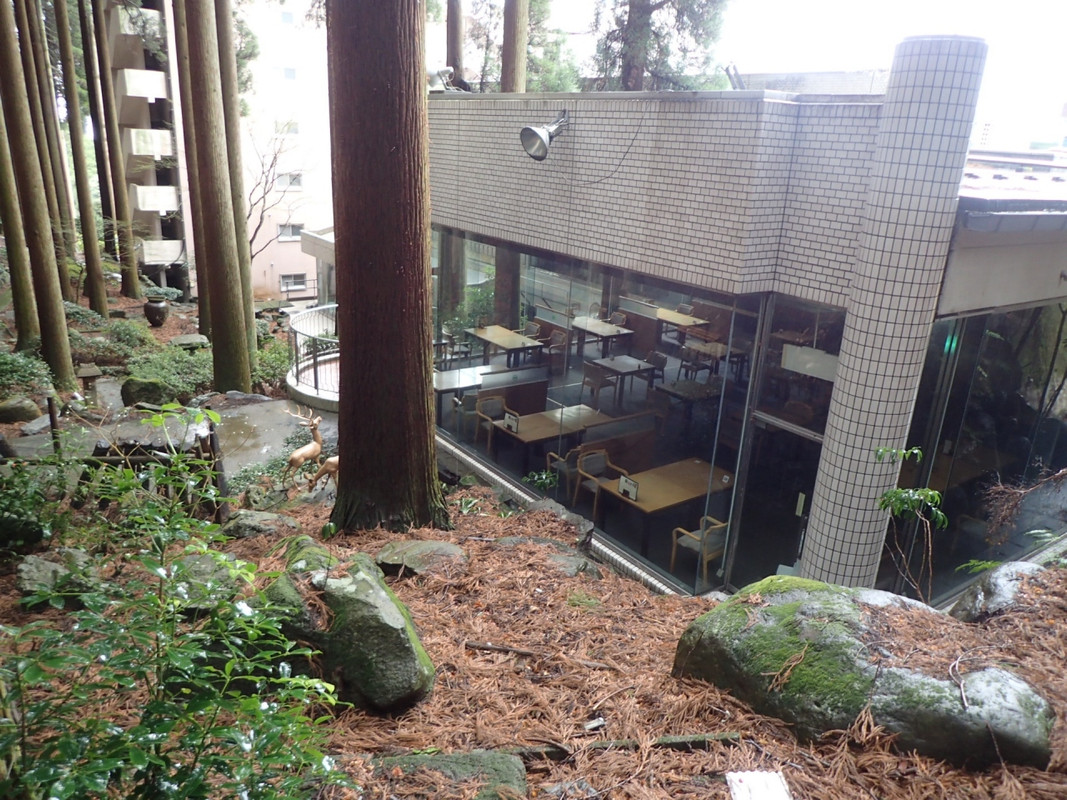 レストラン「杉パレス」