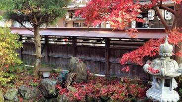 施設の敷地 / 13