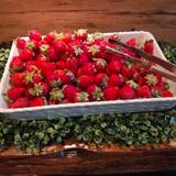 XEX 日本橋 The BAR（ゼックスニホンバシザバー）