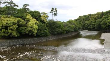 観光スポット / 13