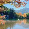 goldcastle1223さんの写真