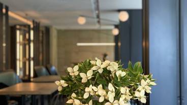 ロビー応接スペース / 14