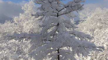 施設からの眺望 / 14