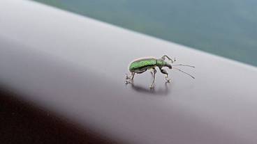 ランド ビュー / 7