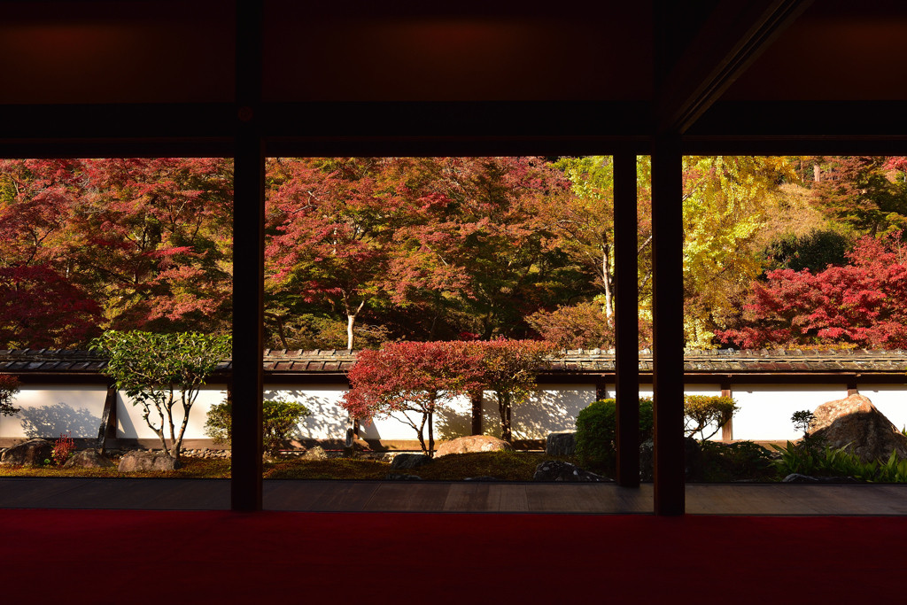 正暦寺2405415