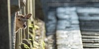 【奈良】カメラを持って癒しの旅へ。一人で訪れたいおすすめスポット7選