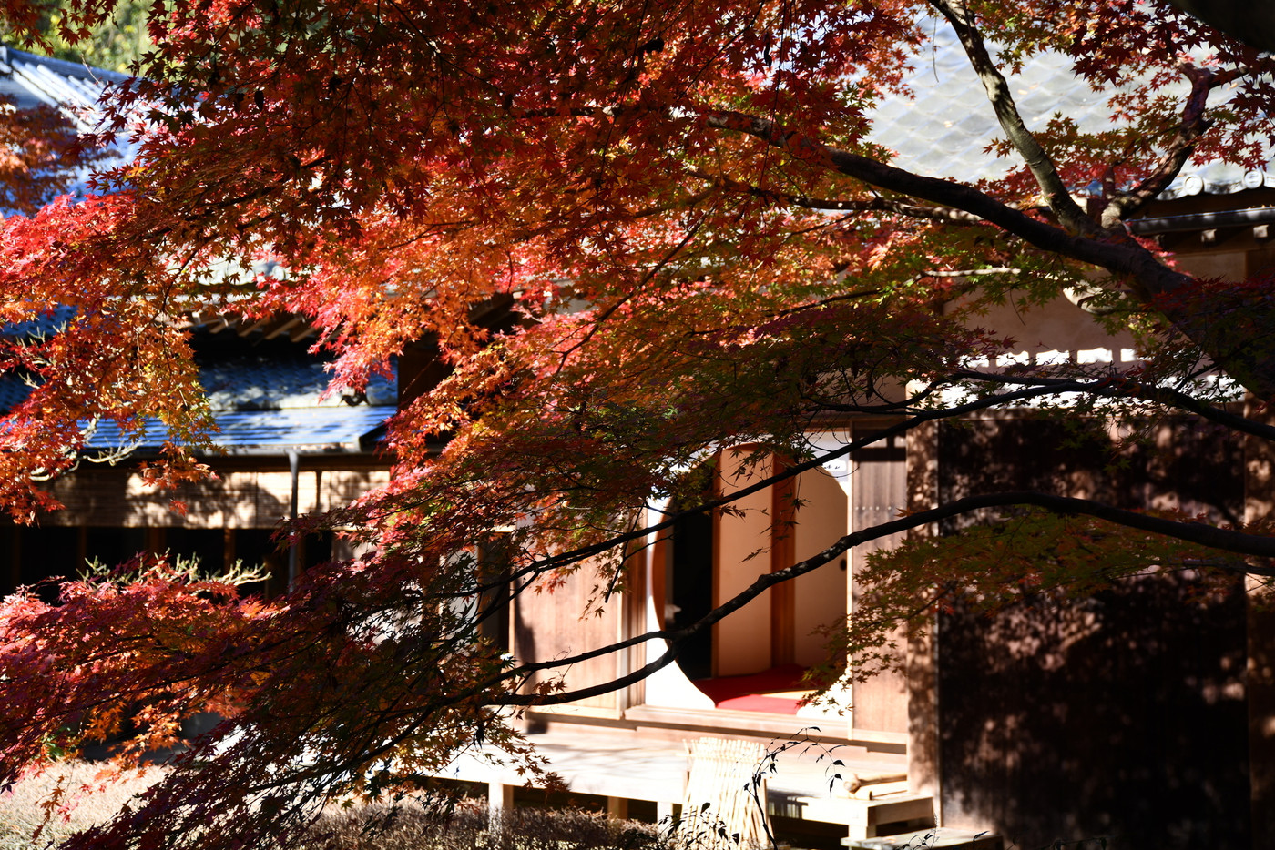 明月院