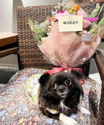 rchan__01paさんの写真 / 1