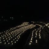 湯西川温泉 かまくら祭り（ユニシカワオンセンカマクラマツリ）