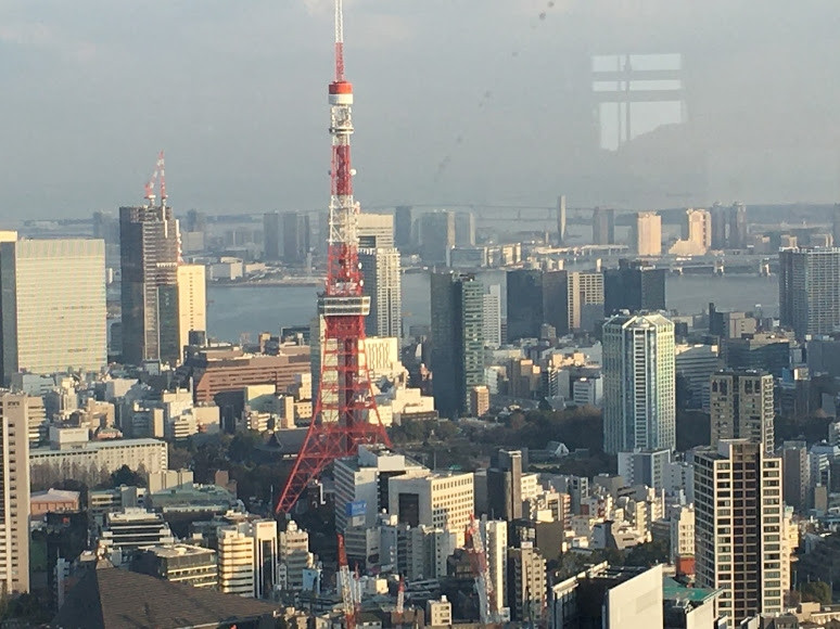 東京タワーが望めるシティービュー