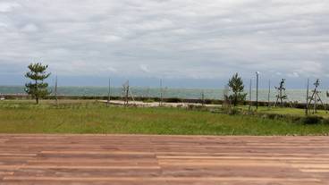 ビーチ / オーシャン ビュー / 9