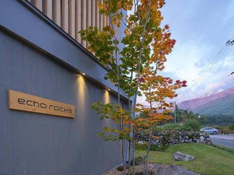 エコーロックス / 3