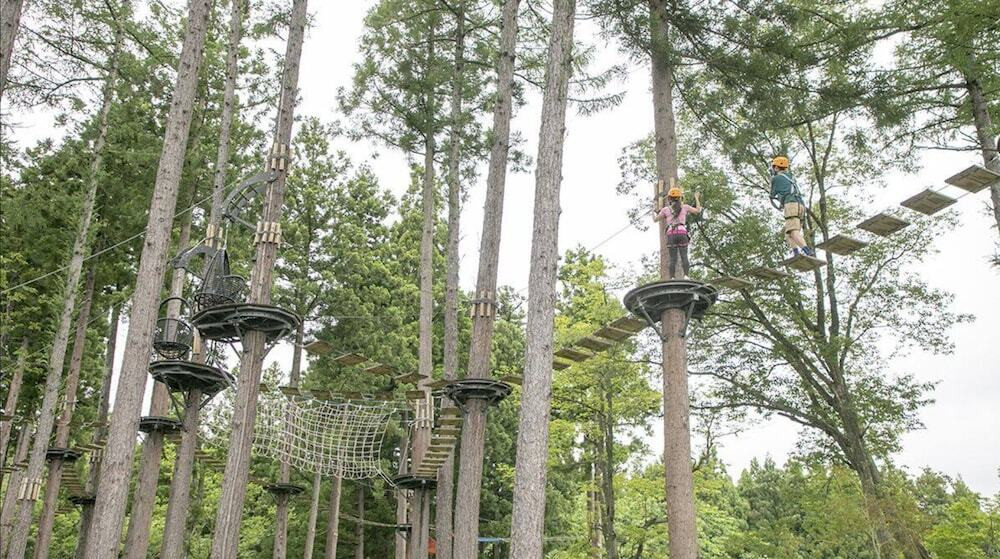 ロープ コース (チーム ビルディング用)