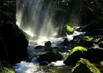 The lush green "Yugawara" has many ryokan perfect for "secluded stays"3551430