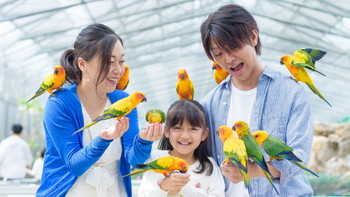 Kakegawa City is full of fun spots for children! 3469611